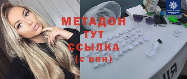 сатива Вяземский
