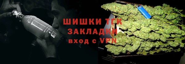 сатива Вяземский