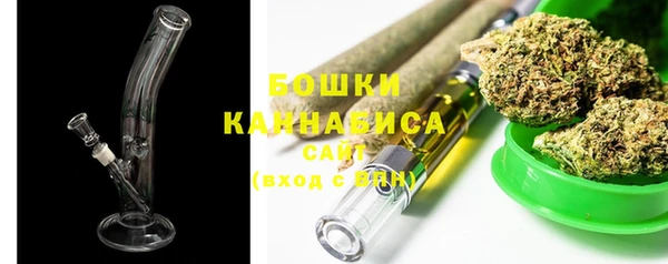 сатива Вяземский
