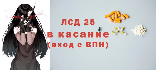 сатива Вяземский