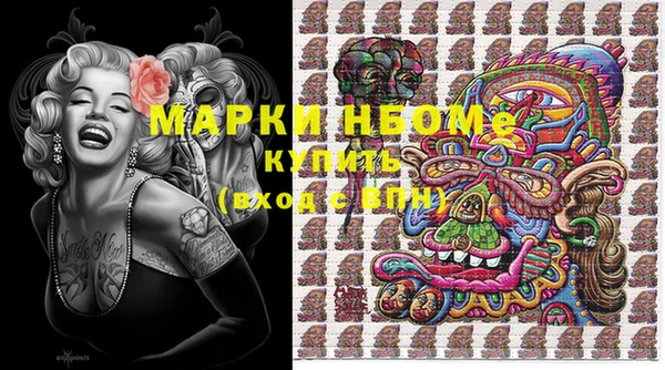 сатива Вяземский