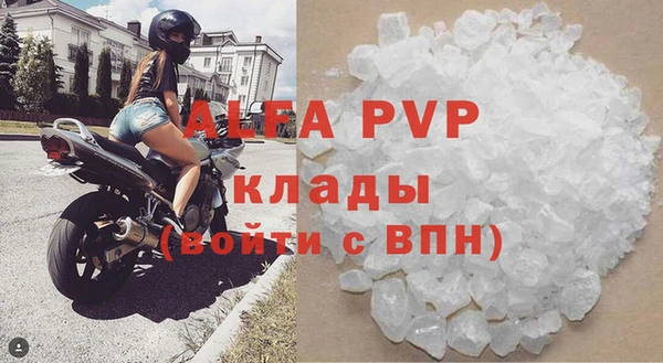 сатива Вяземский