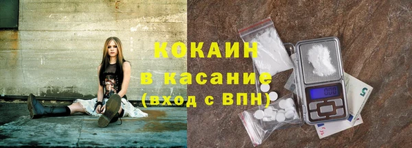 сатива Вяземский