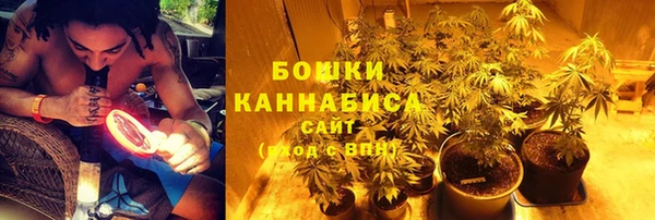 сатива Вяземский
