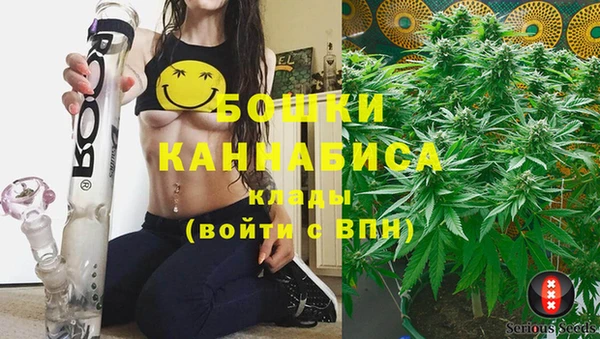 сатива Вяземский