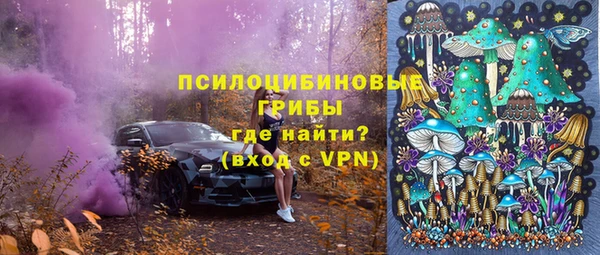 сатива Вяземский